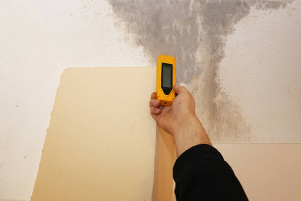 Best Indoor Air Quality Assessment  in Brentwood, CA