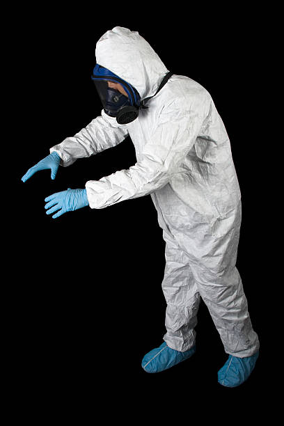 Best Crawl Space Mold Remediation  in Brentwood, CA