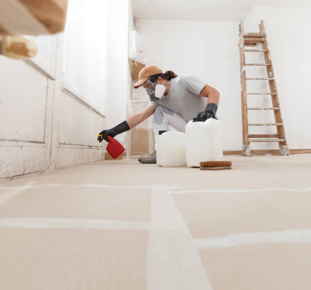 Best HVAC Mold Inspection and Cleaning  in Brentwood, CA